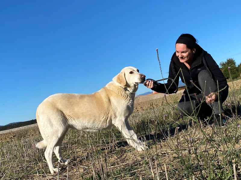 Patty - Vorsichtig auf den Pfoten, groß im Herzen