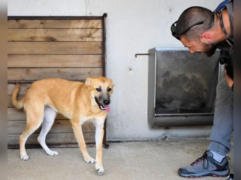 Osita - "Und wenn sie nicht weg sind.....