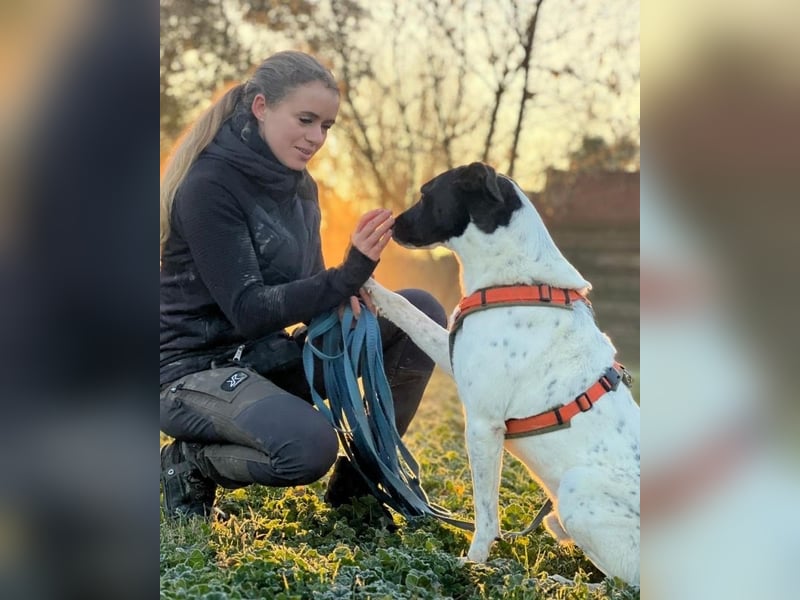 Phönix - Wege aus der Vergangenheit