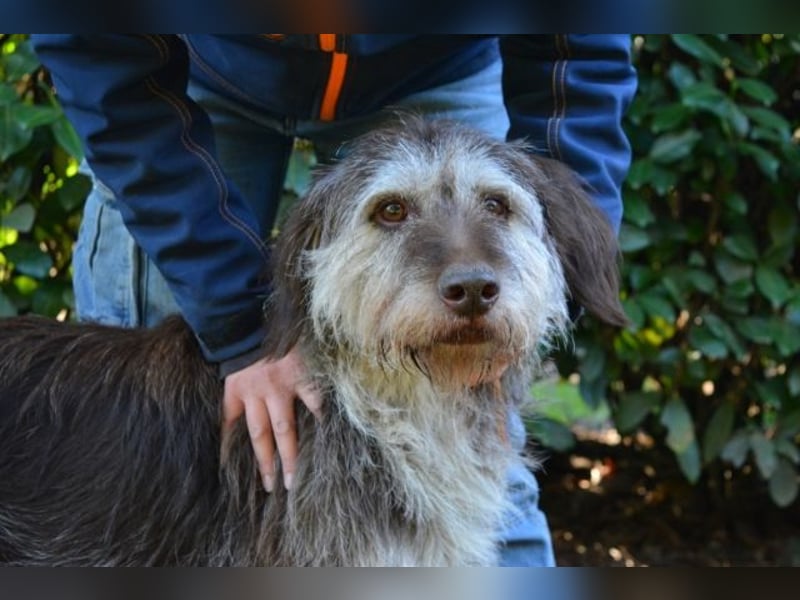 Minnie - Nach 7 Jahren Unglück endlich 7 Jahre Glück?