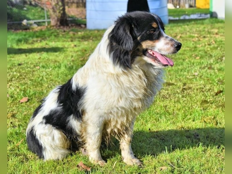 Collin - Wer Vertrauen hat, erlebt jeden Tag Wunder
