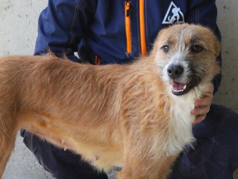 Renilde - eifrige Interviewpartnerin hat Pluspunkte gesammelt