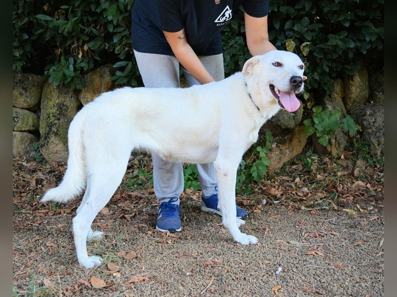 Dafnielle - Zukunft gesucht