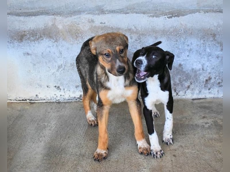 Mavette - Es soll DEIN Leben werden