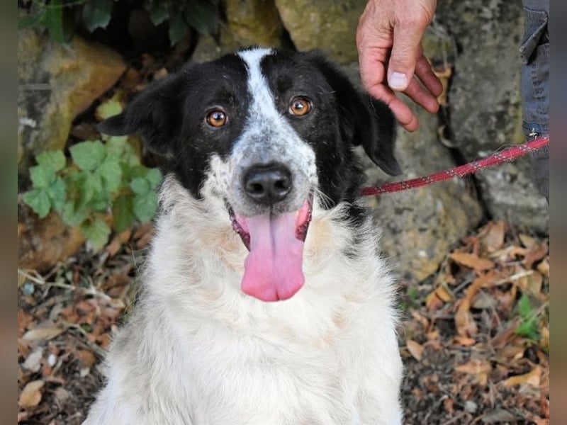 Jessie - Wer nicht neugierig ist, erfährt nichts