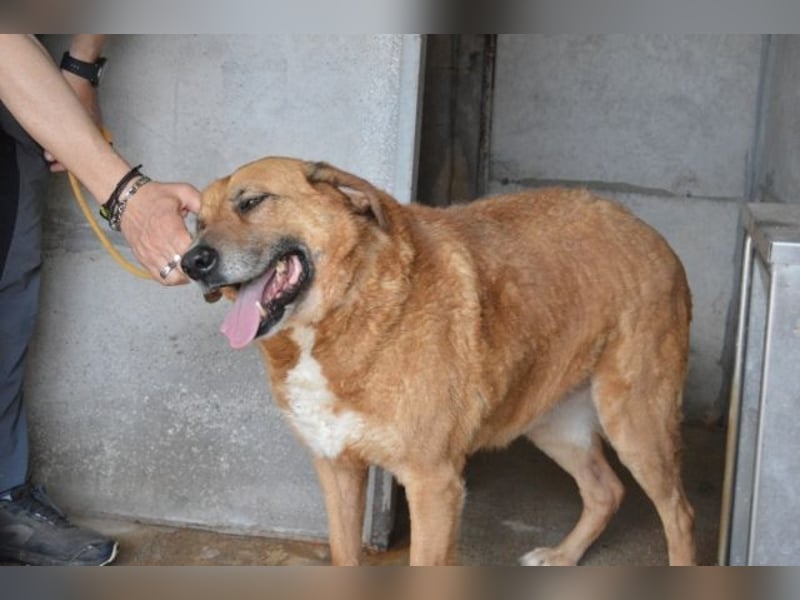 Kemp - Runder Rundum-Schatz