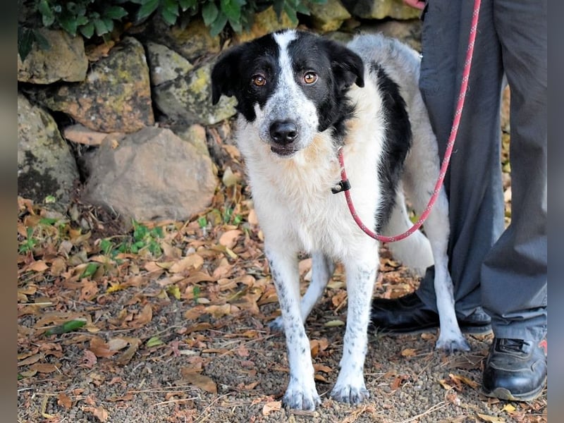 Jessie - Wer nicht neugierig ist, erfährt nichts