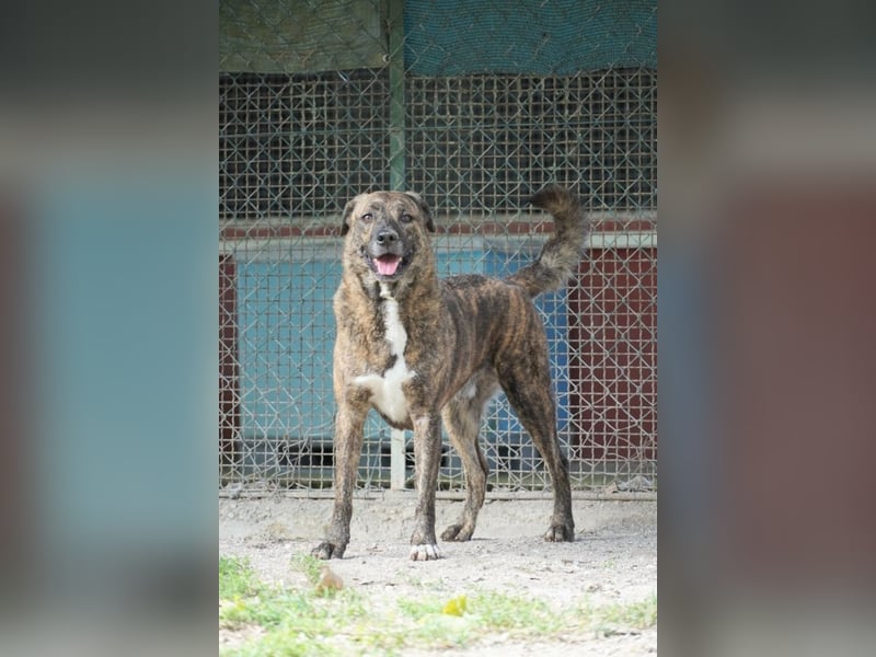 Ludwig - Nur Mädchen erlaubt