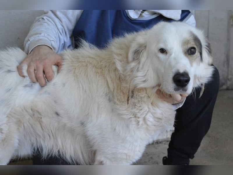 Bailoch - Zeig mir doch bitte...