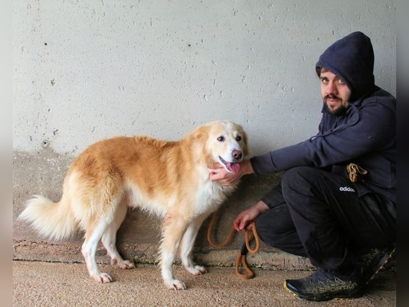 Tirvian - Kurz Alarm, dann Charme