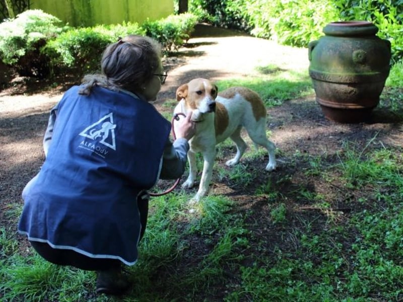 Zela - Z wie Zuckersüß und Zauberhaft