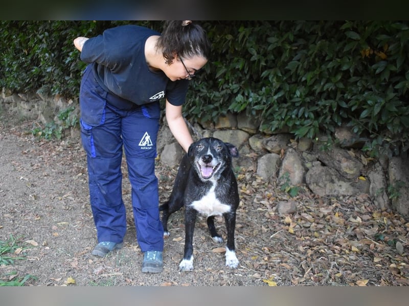 Elowen - eine Tänzerin im Mondlicht, bis die Sonne die Träume verjagt