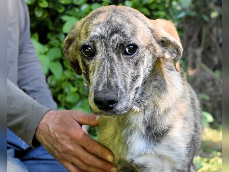 Uladine - hat alles verloren...