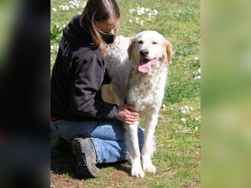 Kastore - Die Welt erkunden!