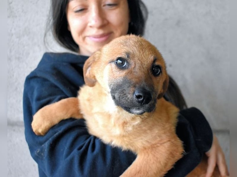 Mivelle - Es soll DEIN Leben werden