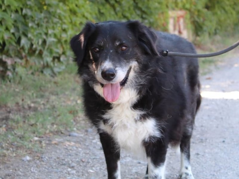 Carmine - Bereit für den Neustart