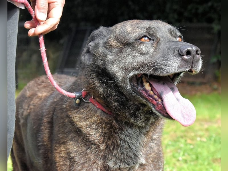 Fareeda - Wo die Schmetterlinge wohnen