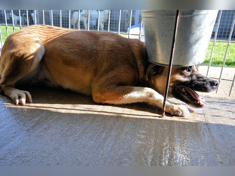 Sunitha - Drei Leben. Drei Chancen.