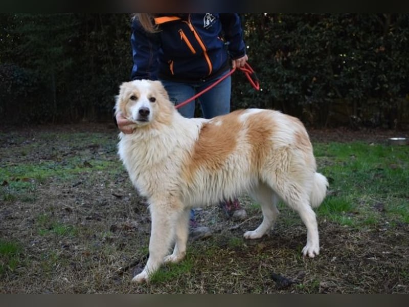 Jury - Powerpaket mit ganz viel Herz im Gepäck