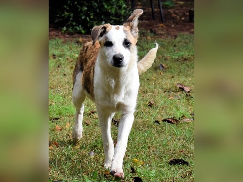 Milde - Ein Flüstern, das sagt: "Du bist sicher."