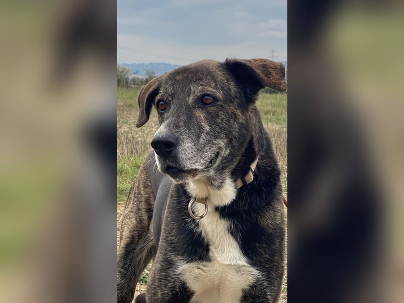 Lola - Das Herz hat seine Gründe