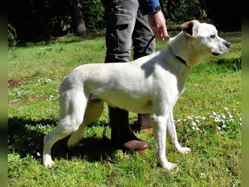 Jedd - Liebe auf den zweiten Stern