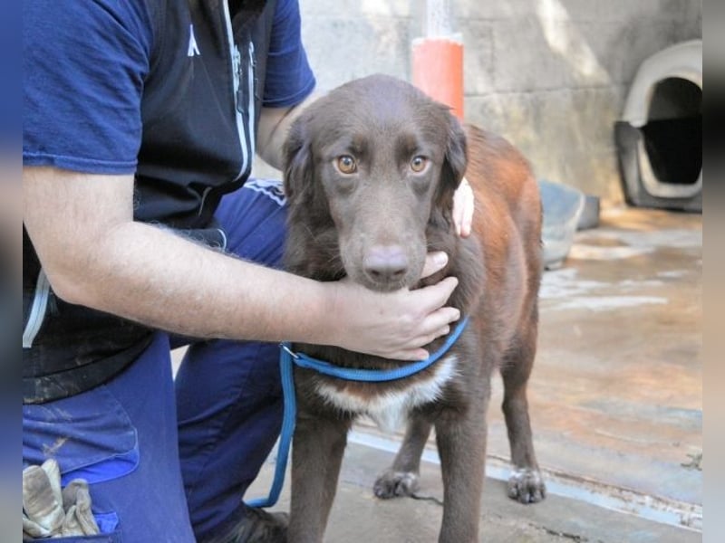 Beckey - Berufswunsch Prinzessin