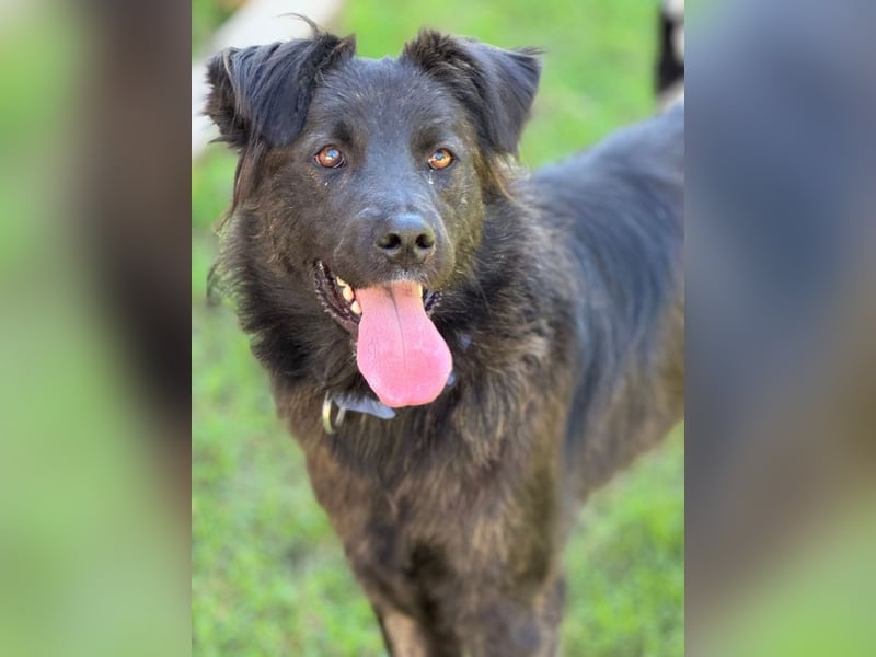 Donut - Wer nichts zu verlieren hat, kann nur gewinnen!