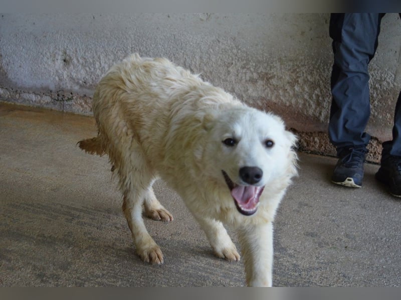 Sadye - Liebevolle Zuwendung....