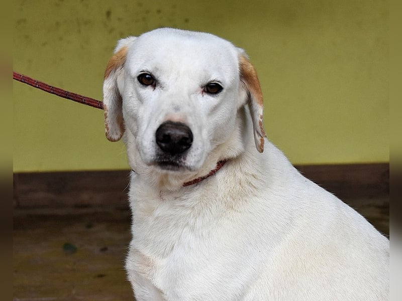 Ghemon - Notfall - Wie wenig kann ein Leben zählen?