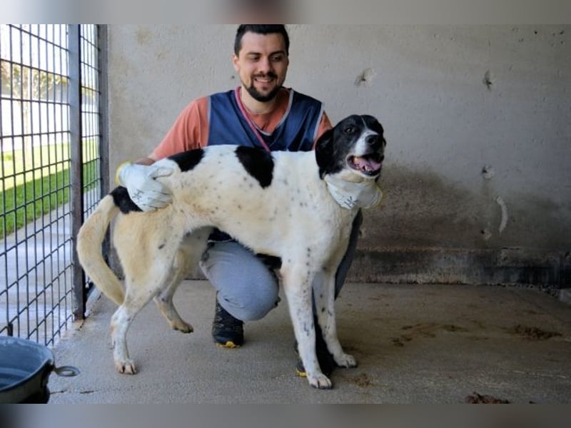 Lorianne - Diplomierte Zuhörerin sucht Sofa & Sonne