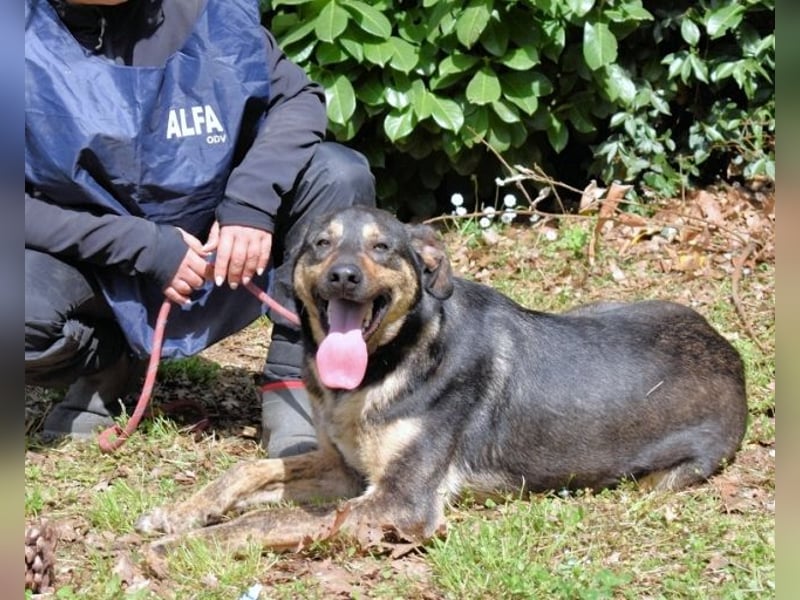 Montego - Sonne im Bauch und Brausekribbeln im Hirn