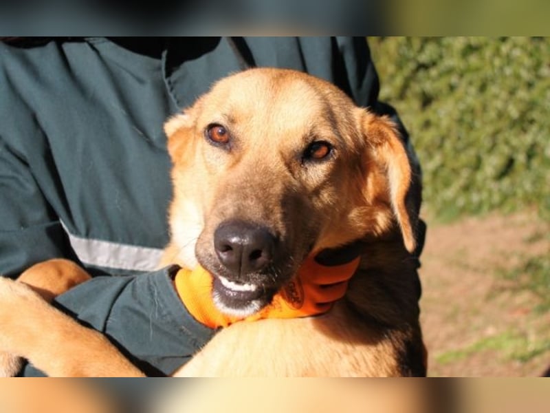 Kairo - möchte einfach nur genießen