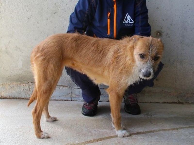 Renilde - eifrige Interviewpartnerin hat Pluspunkte gesammelt