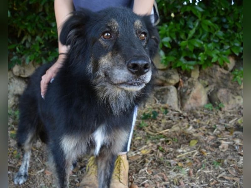 Pinot - "Unmöglich!" sagte die Tatsache... Pinot - "Unmöglich!" sagte die Tatsache...