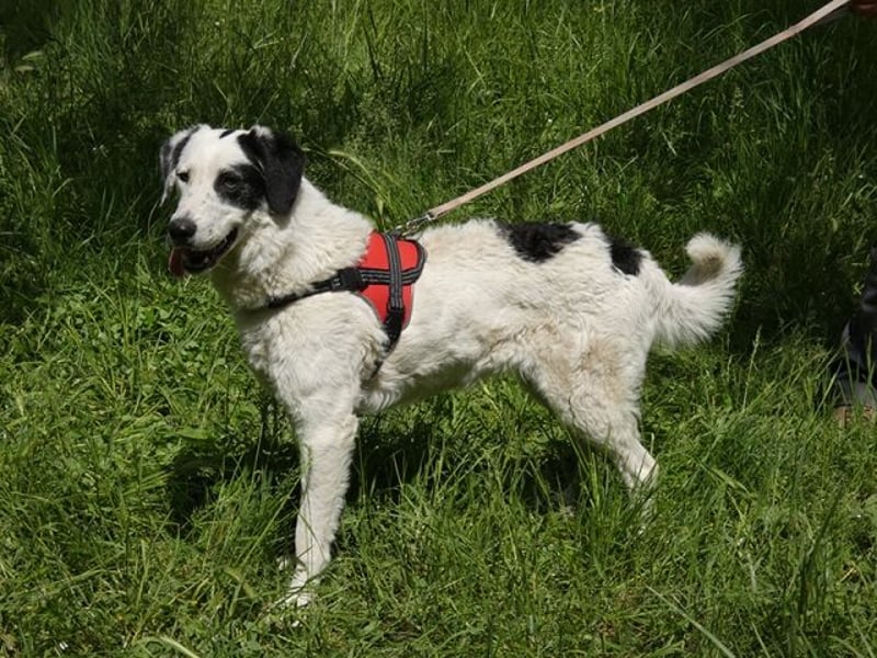 Marni - Dieses Herz hat schon zu lange gewartet