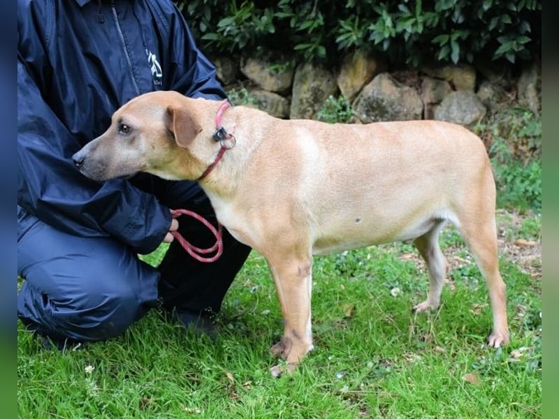 Meleagro - Die perfekte Morgenroutine Meleagro - Die perfekte Morgenroutine