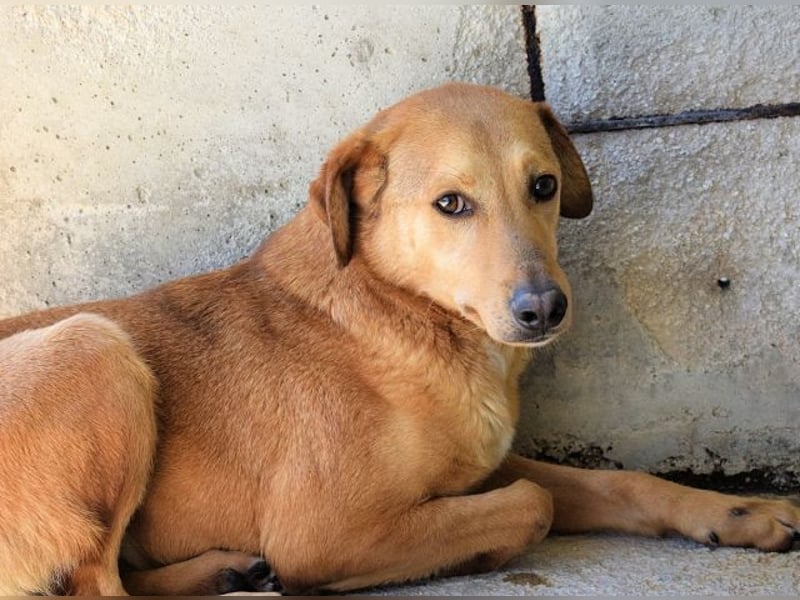 Benno - wenn du mutig bist, dann bin ich es auch!