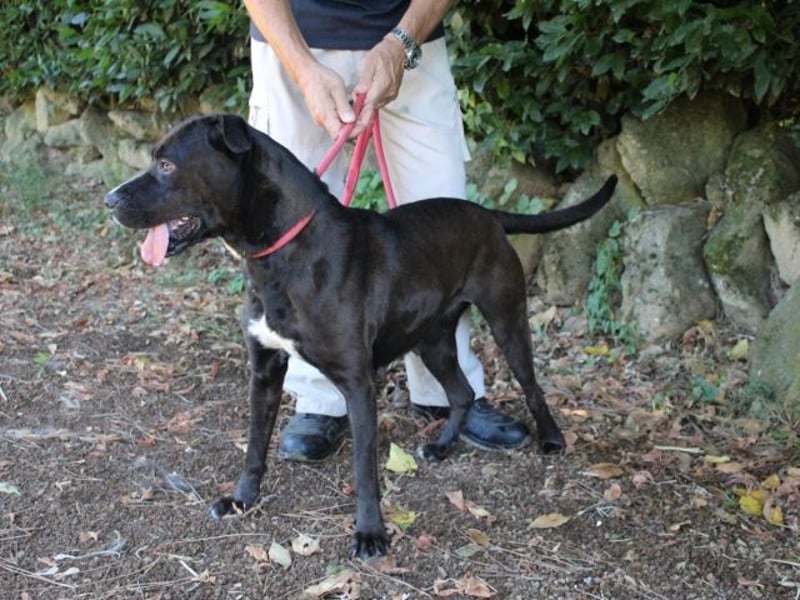 Sienna - Surferin der Herzen