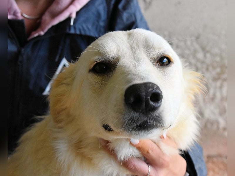 Sadye - Liebevolle Zuwendung....