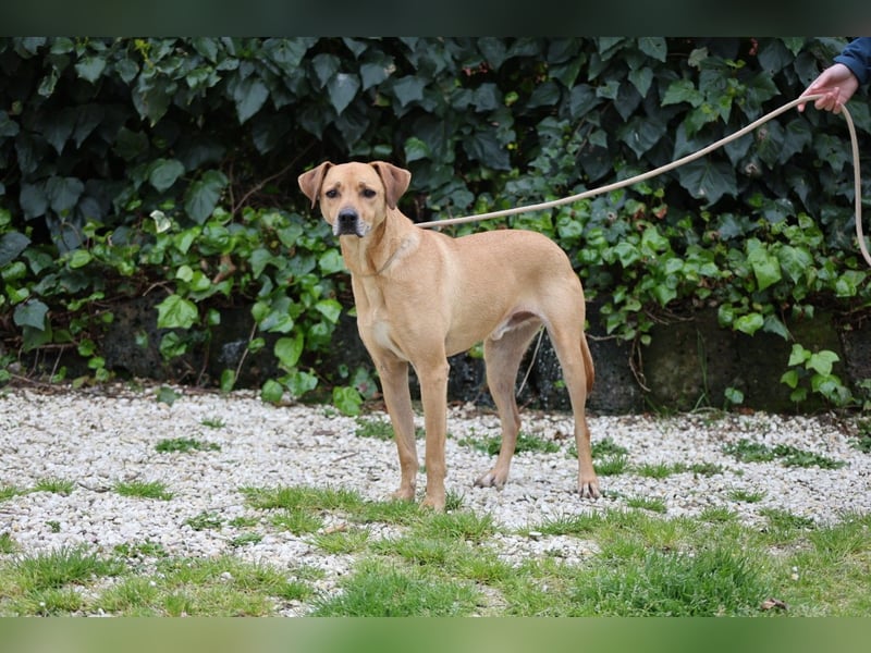 Jasper - Warten auf den einen Menschen