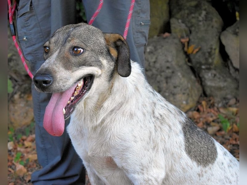 Helder - spricht für sich