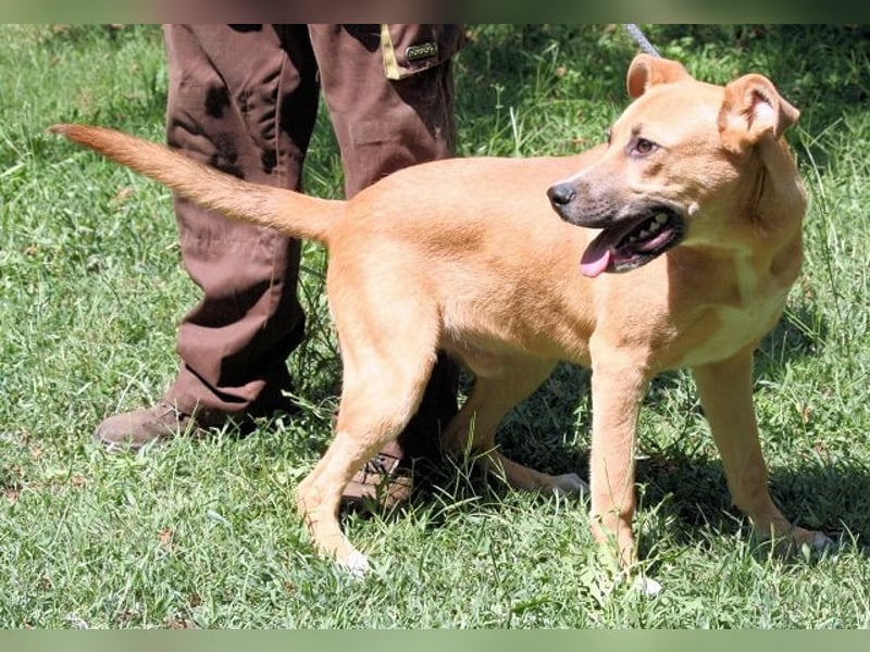 Cesny - Noch ist es nicht zu spät, aber es wird höchste Zeit!