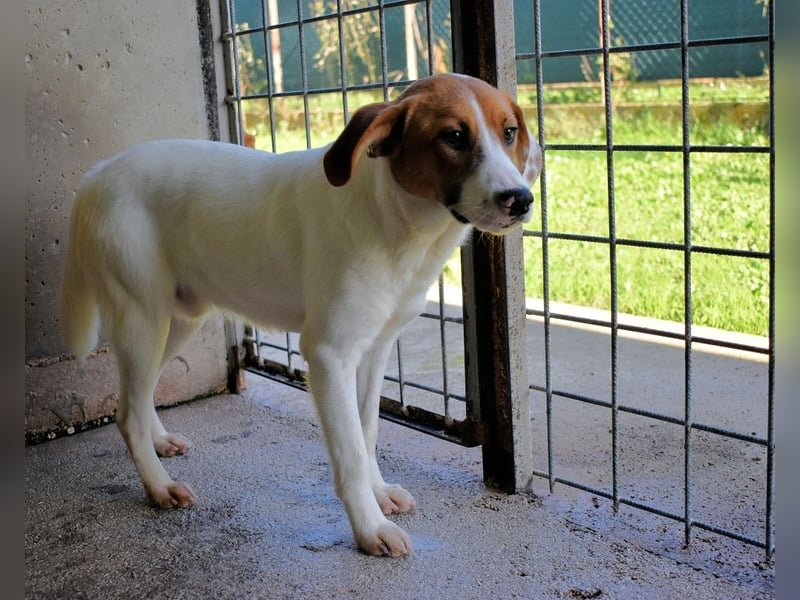 Tyber - Wer gibt mir einen Vertrauens-Schubser?