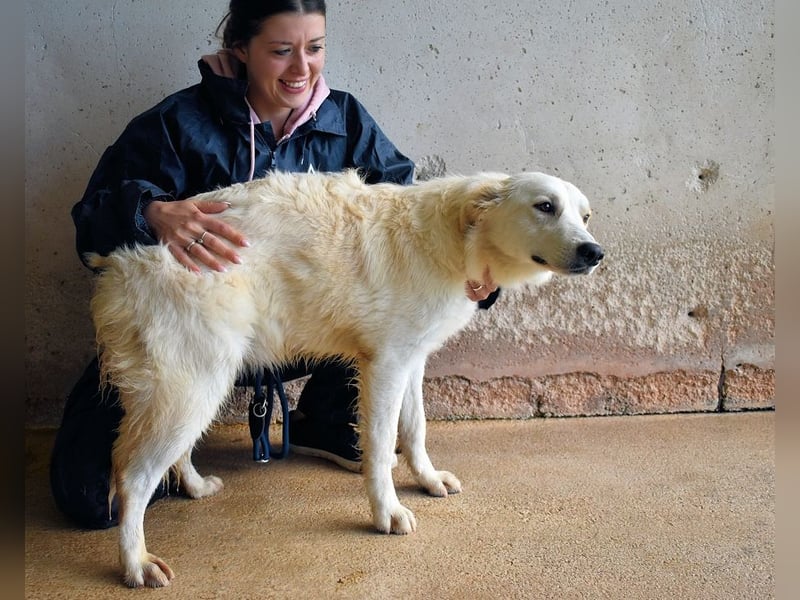 Sadye - Liebevolle Zuwendung....