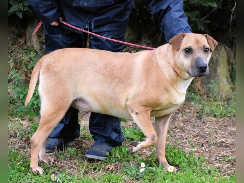 Meleagro - Die perfekte Morgenroutine Meleagro - Die perfekte Morgenroutine