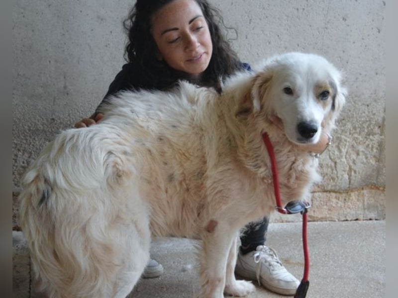 Bailoch - Zeig mir doch bitte...