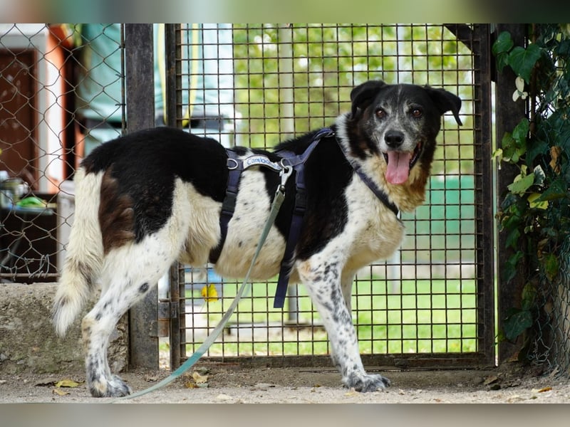 Cambiamento - lasst uns sein Leben verändern