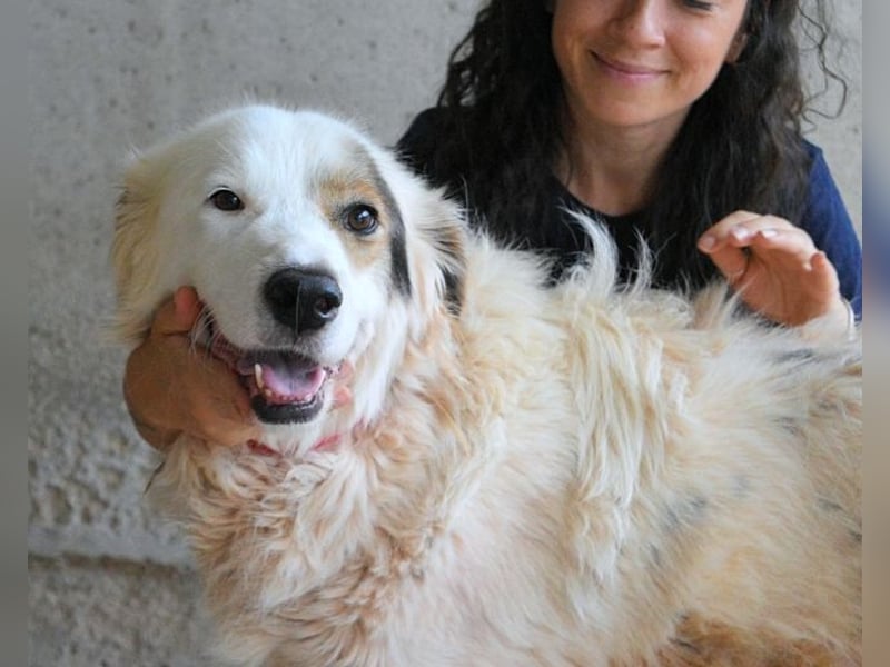 Bailoch - Zeig mir doch bitte...