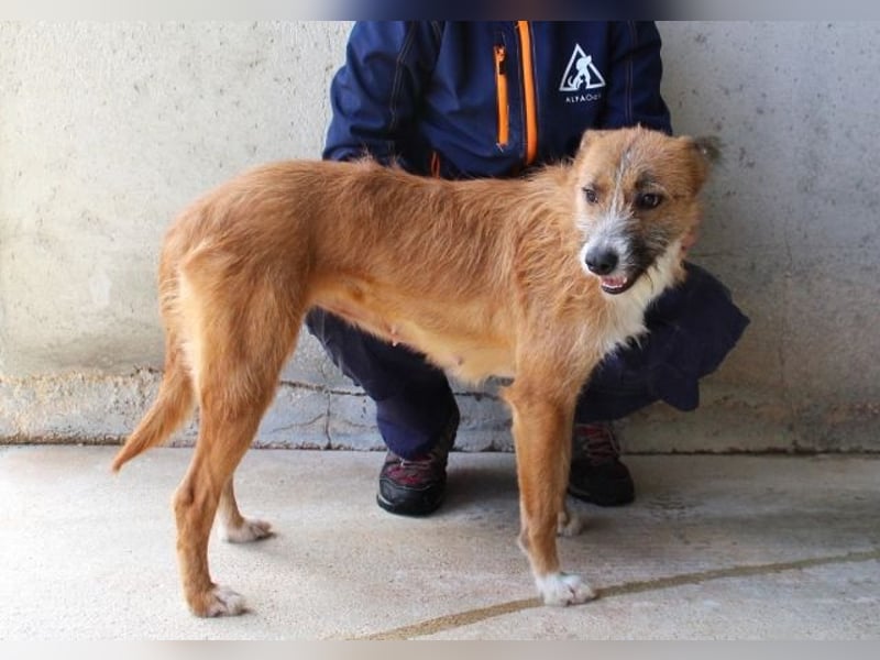 Renilde - eifrige Interviewpartnerin hat Pluspunkte gesammelt